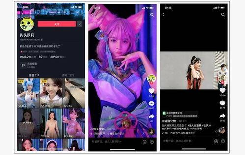 呆呆爆料视频在线观看,揭秘幕后真相，带你走进事件核心